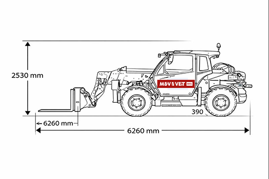 Maße des Dieci Icarus 45.17