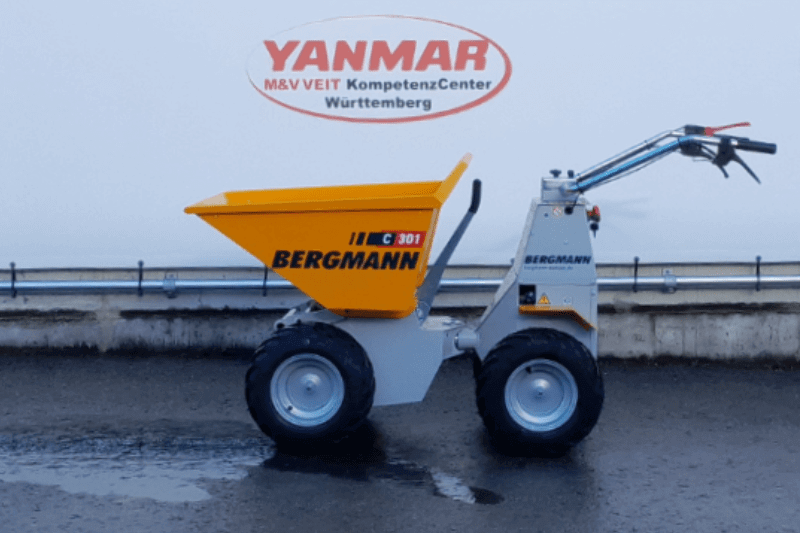 Der Bergmann C301 S Elektrodumper